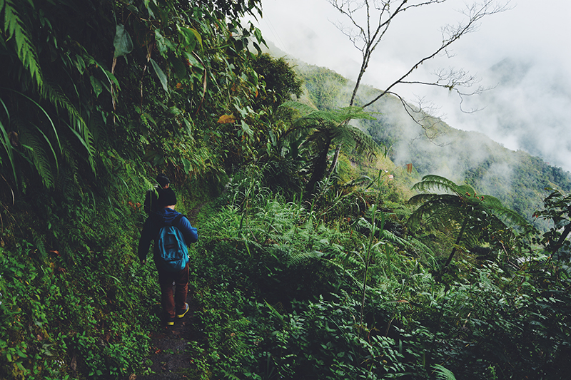 The road to Batad involves taking a walk through muddy trails and a dense forest.