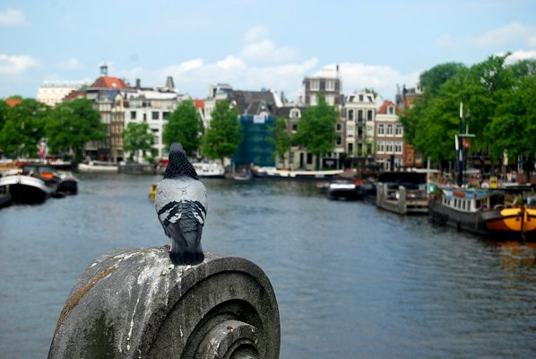Amsterdam: Bible Study at the Red Light&nbsp;District
