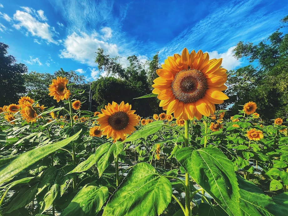 2021 Yearend: A Road Trip to Southern&nbsp;Rizal